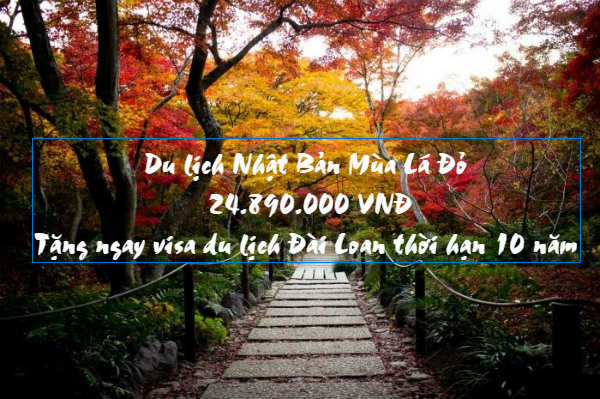 Lí giải tại sao Nhật Bản mùa lá đỏ luôn đốn tim khách du lịch .