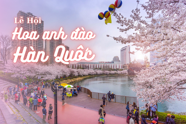 Điểm danh điểm đến hút khách nhất mùa lễ hội hoa anh đào Hàn Quốc
