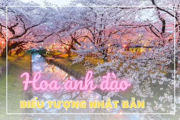 Mùa hoa anh đào nở - Bức tranh thi vị xứ mặt trời mọc