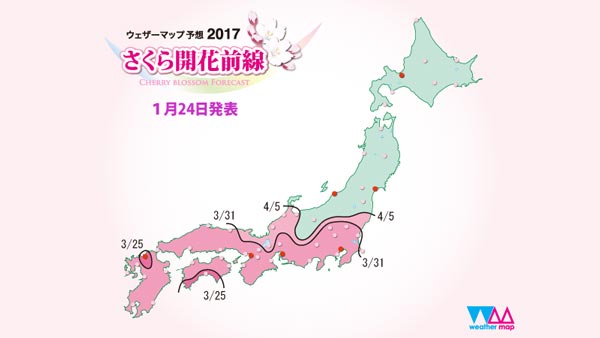 Dự báo lịch nở hoa anh đào năm 2017 ở Nhật Bản