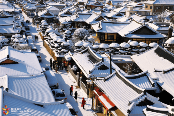 Tour Hàn Quốc Mùa Đông 5N4Đ – Seoul, Nami, Lotte World, Trượt Tuyết Elysian | Vacation Travel