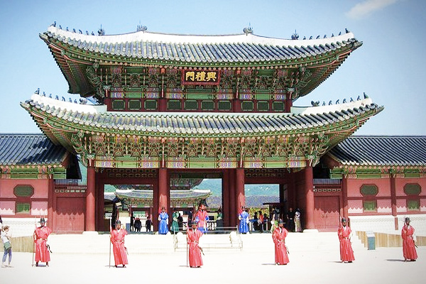Tour hàn quốc mùa hoa anh đào