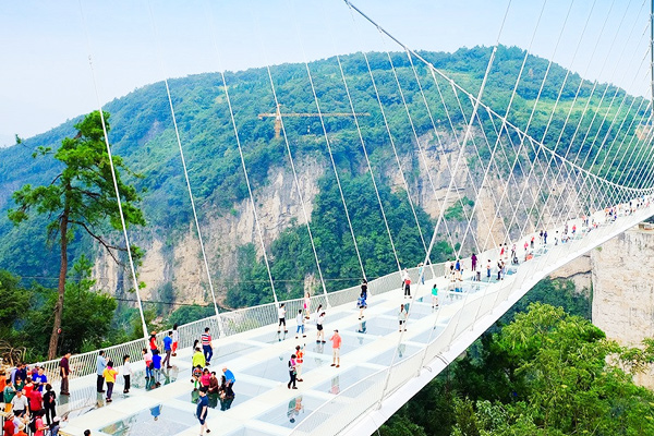 Tour nghi xương trung quốc