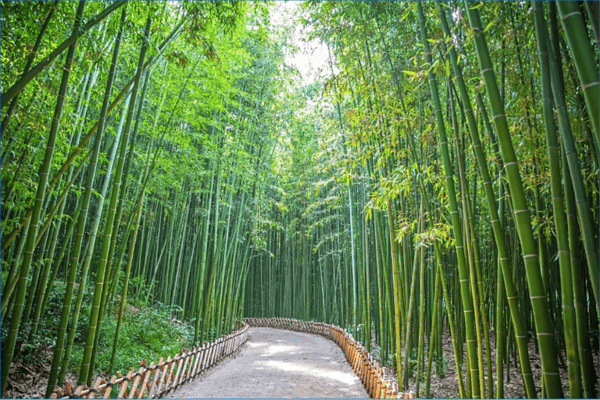Tour Hàn Quốc 5N4Đ | Khám Phá Kinh Đô Silla – Busan, Gyeongju, Ulsan