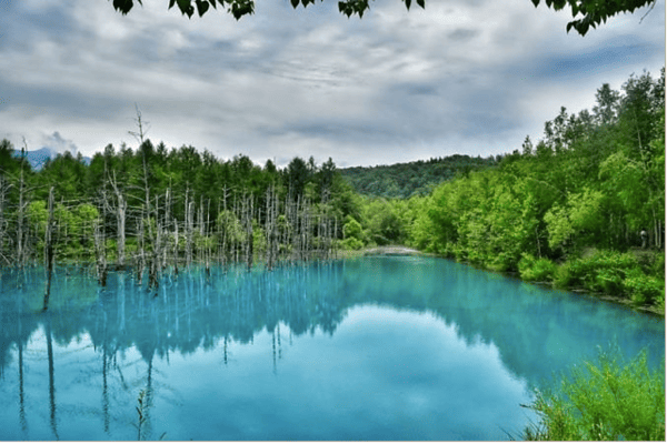 Tour Nhật Bản Mùa Hoa Anh Đào 5N5Đ | Asahikawa – Sapporo