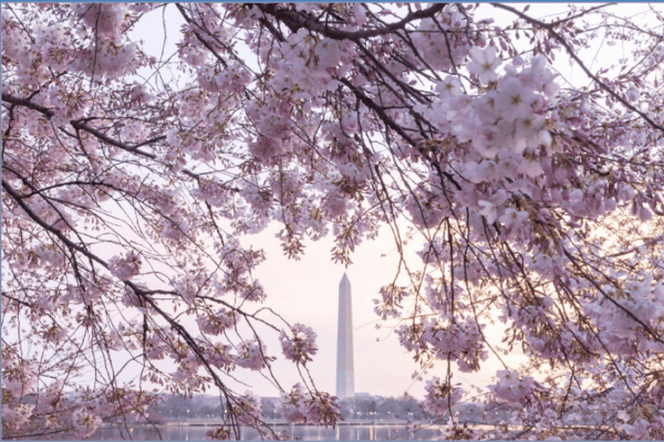 Tour Mỹ 10N9Đ Đông Tây: New York – Washington D.C – Las Vegas – Los Angeles – San Diego