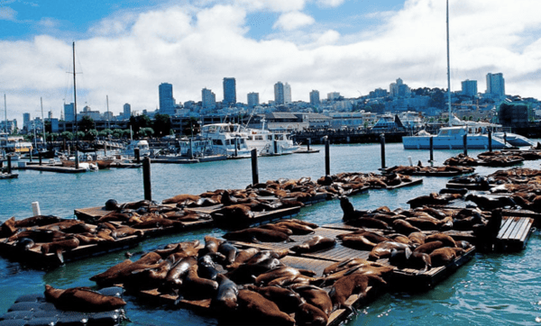 Khám Phá Hoa Kỳ 2 Bờ Đông Tây 12N11Đ | San Francisco – Los Angeles – New York – Las Vegas | Bay China Airlines/EVA Air
