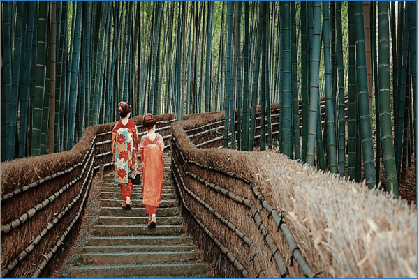 Tour Nhật Bản Mùa Thu: Osaka – Nara – Kyoto – Nagoya – Yamanashi – Tokyo