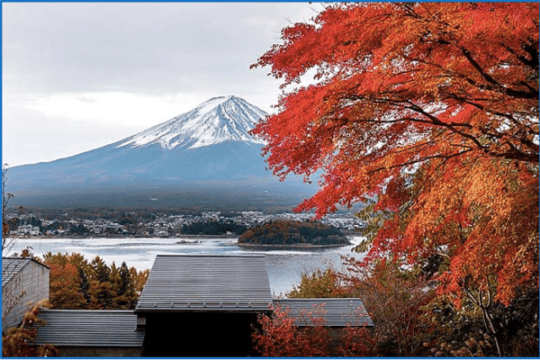 Tour Nhật Bản Mùa Thu: Osaka – Nara – Kyoto – Nagoya – Yamanashi – Tokyo