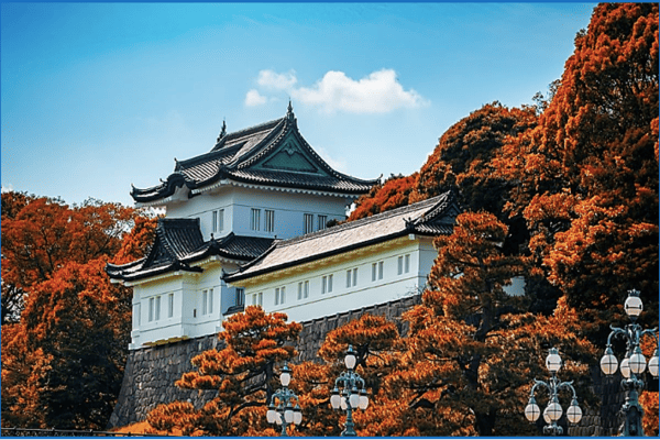 Tour Nhật Bản Mùa Thu: Osaka – Nara – Kyoto – Nagoya – Yamanashi – Tokyo