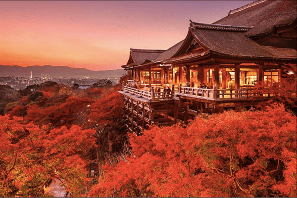 Tour Nhật Bản Mùa Thu Lá Đỏ 6N6Đ – Kobe, Osaka, Kyoto, Fuji, Tokyo