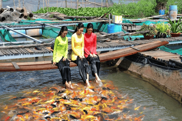Tour Sài Gòn – Mỹ Tho – Bến Tre – Châu Đốc – Cần Thơ – Chợ Nổi 3N2Đ