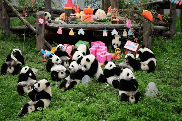 Tour Mono Trùng Khánh 4N4Đ No Shop | Bay cùng Air China – Trọn vẹn trải nghiệm