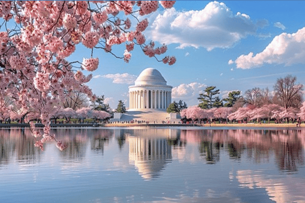 Tour hoa anh đào & Khám phá Bờ Đông Mỹ 2026: New York - Philadelphia - Washington D.C | 7N6Đ
