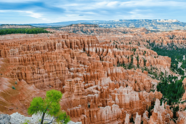 FAM Trip Khám Phá Bờ Tây Hoa Kỳ 10N9Đ: Grand Canyon – Las Vegas – LA