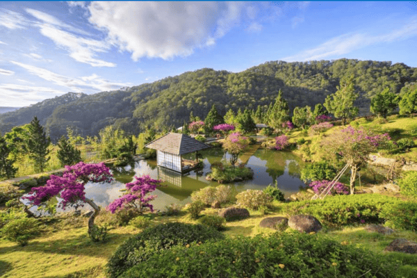 Tour Săn Mây Đà Lạt Tết 2026 3N3Đ | Langbiang Land – Thung Lũng Các Vị Thần