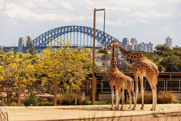 TOUR ÚC 7N6Đ – MELBOURNE – SYDNEY BALLARAT – FREE DAY
