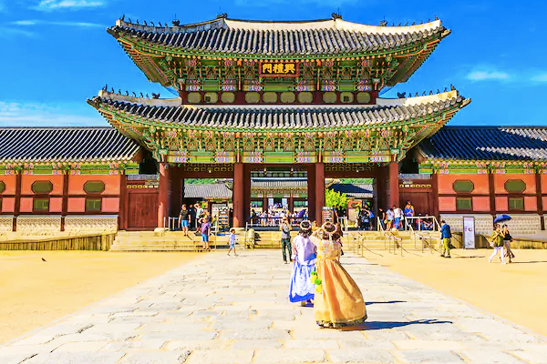 Tour hàn quốc mùa hoa anh đào