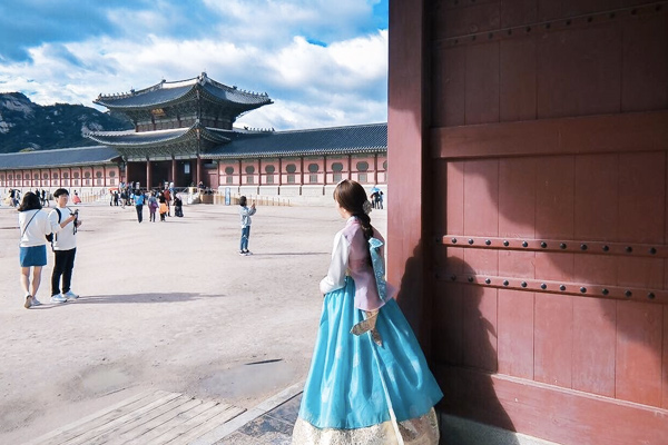 Tour hàn quốc mùa hoa anh đào