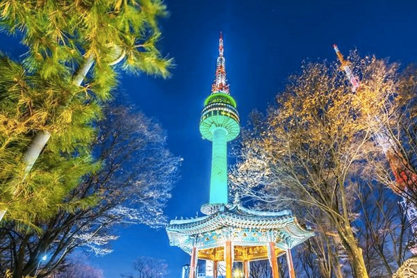 Tour hàn quốc mùa hoa anh đào