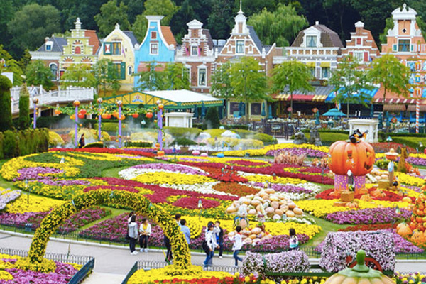 Tour hàn quốc mùa hoa anh đào