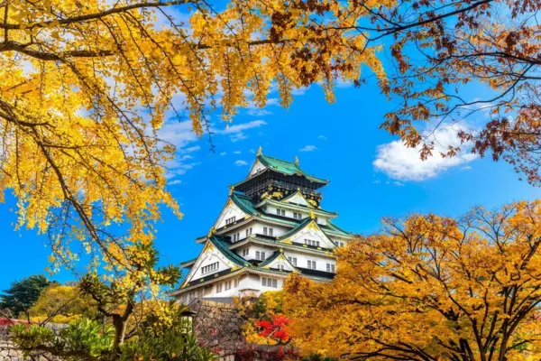 DU LỊCH NHẬT BẢN MÙA HOA NGÂN HẠNH TOKYO – NÚI PHÚ SĨ – NAGOYA – KYOTO – KANSAI