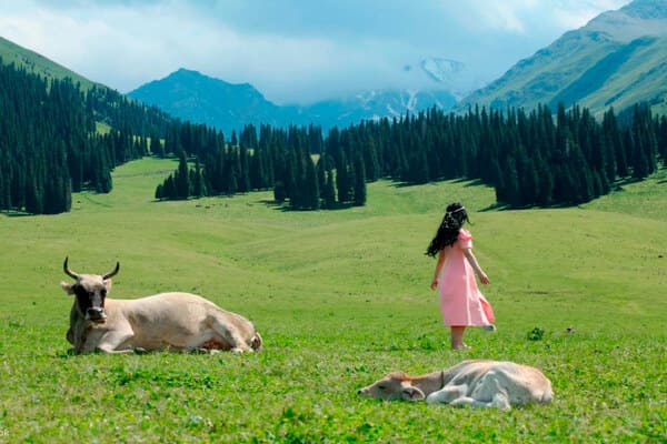 TOUR DU LỊCH  URUMQI – BURQIN – JIADENGYU  KHUÊ ĐỒN – Y NINH - TEKES ( THỜI GIAN: 9N9Đ, HK: AIR CHINA)